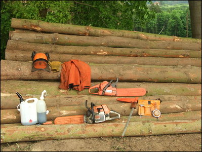 Bild - Waldarbeit - Polterholz und Werkzeuge