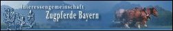 Bild+Link - Logo der IGZ Bayern - Interessengemeinschaft Zugpferde e.V.